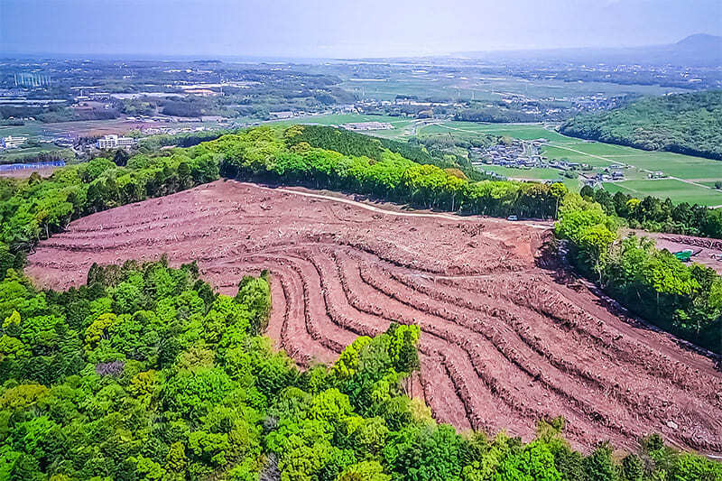 森を切り開いた風景